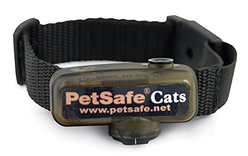 Los mejores collares GPS para gatos: comparativa 2023 1