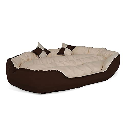 cama galgo 1