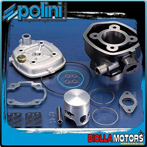 jog rr polini 1