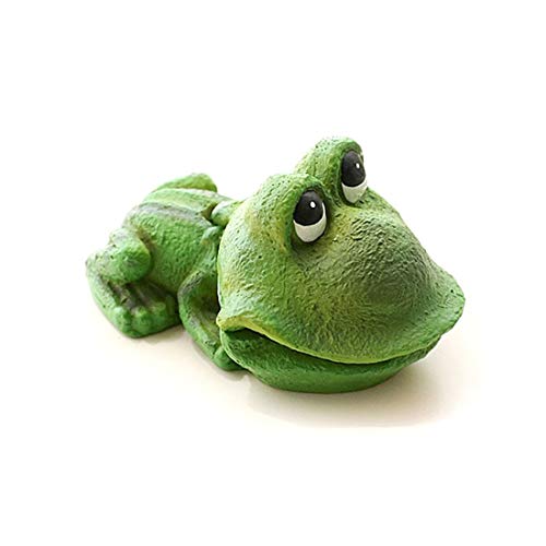 ranas de acuario 1
