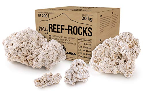 roca viva acuario marino 1