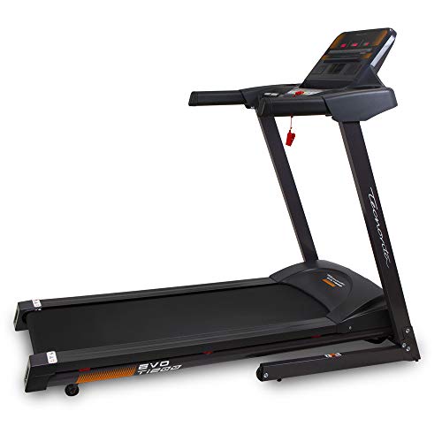 bh zx11 1