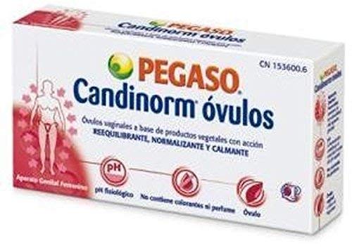 ginegea candida 1