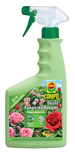 fungicida para rosales 1
