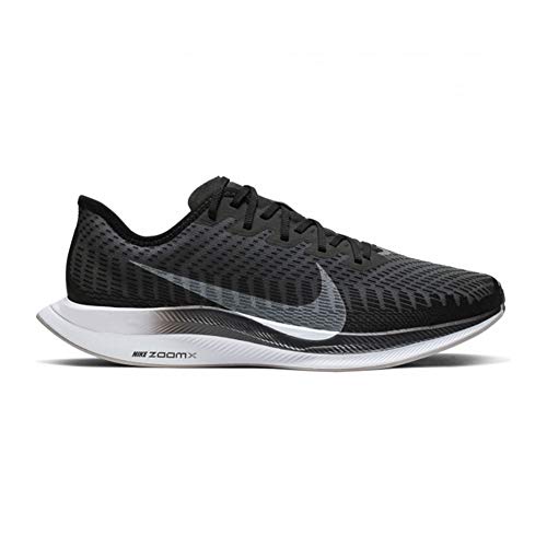 zoom pegasus turbo 2 1