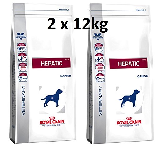royal canin hepatic 12 kg 1
