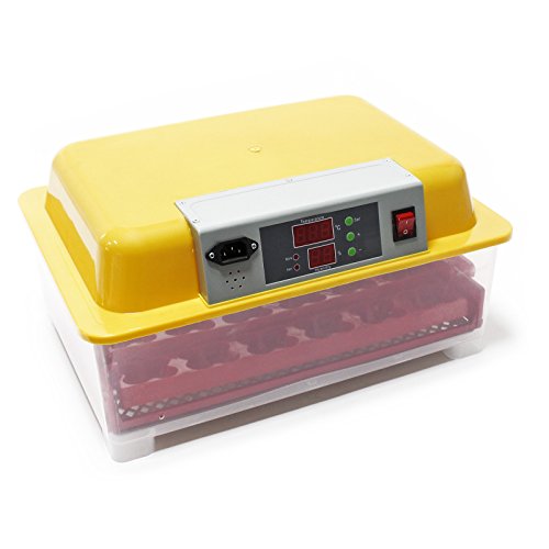 Incubadora automática Capacidad para 24 Huevos, Incubación Cría Aves de Corral Pollos Patos Granja